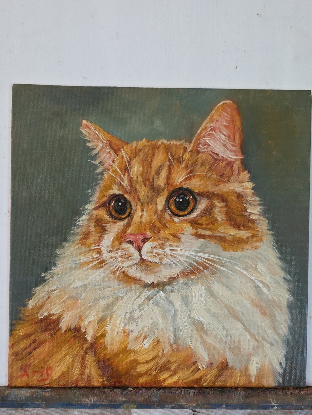 Abstract oil Painting cute Cat